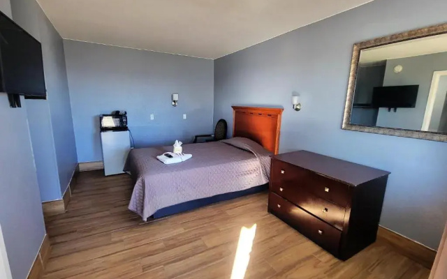 Standard Suite