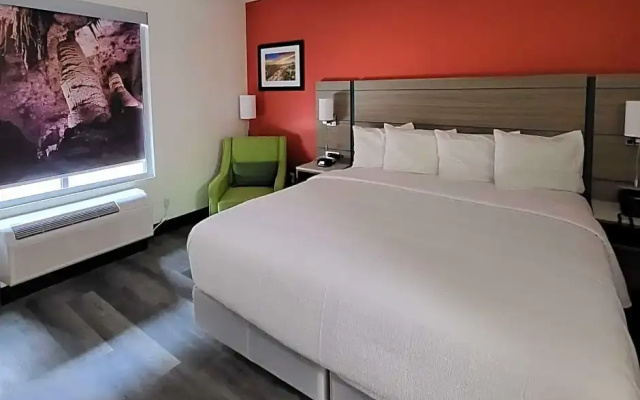 Standard room with pool view
