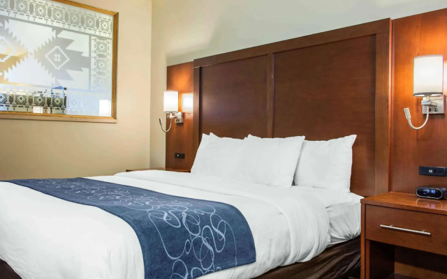 Double Suite