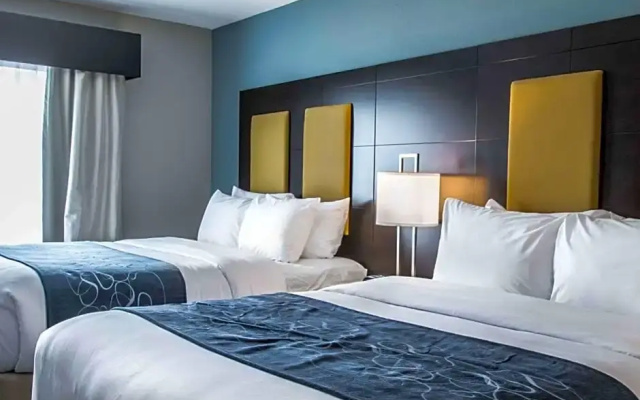 Standard Suite