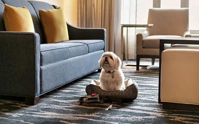 1 Bedroom with Boardroom Double Suite