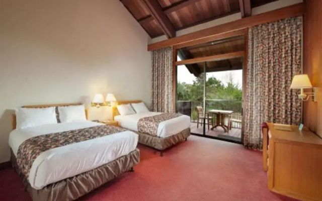 Standard Double room with ocean view