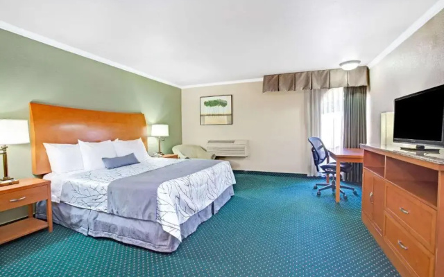Double room