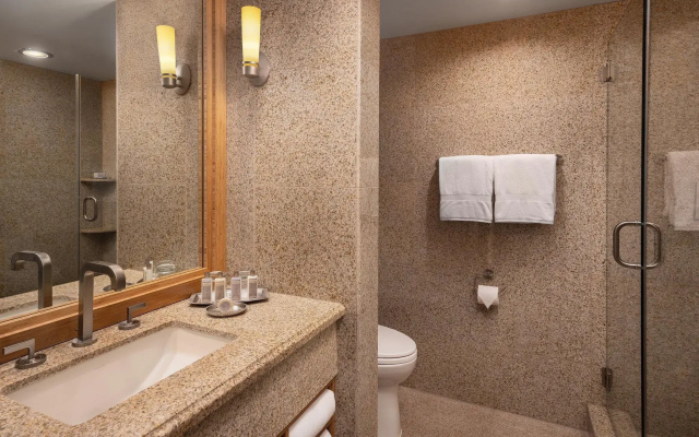 1 Bedroom Junior Suite