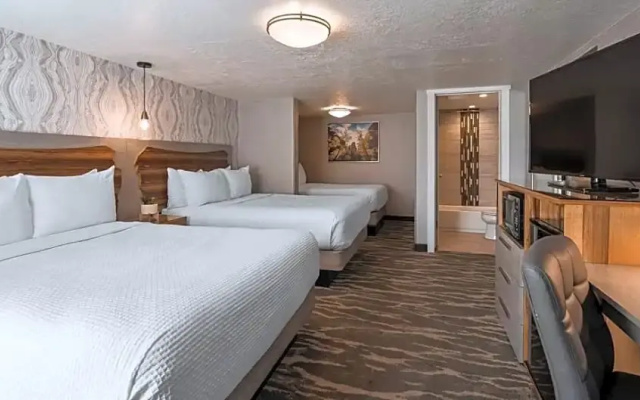 Standard Sextuple room