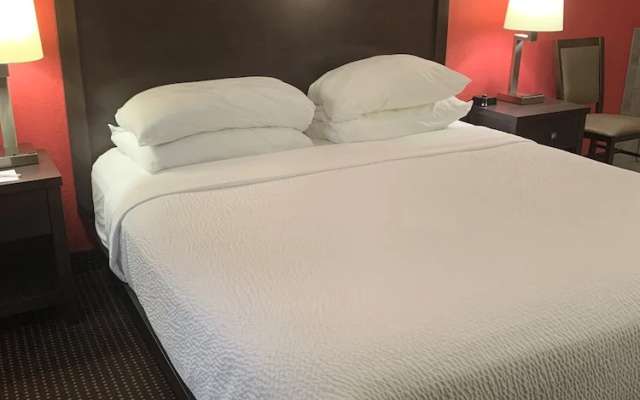 Premium room