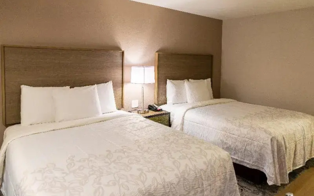Premium Twin room
