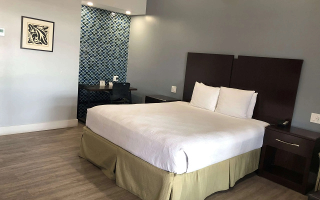 Standard Double room with balcony and with ocean view