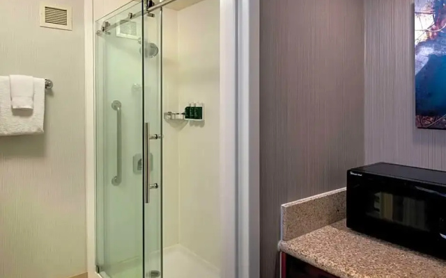 1 Bedroom Superior Suite