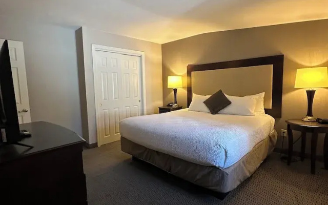 Standard Suite