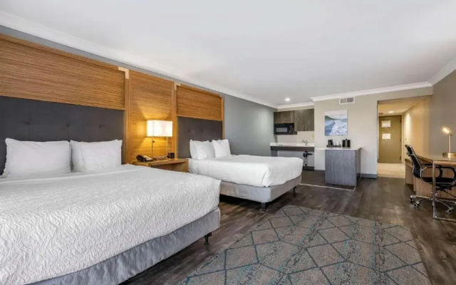 Double Suite