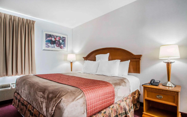 1 Bedroom Suite