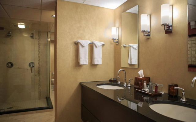 1 Bedroom Presidential Double Suite