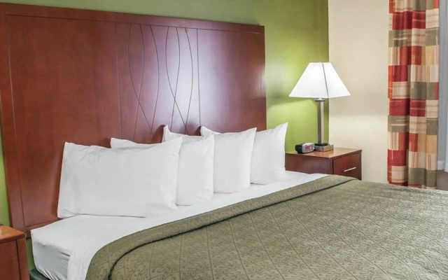1 Bedroom Suite