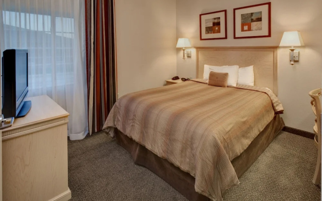 1 Bedroom Suite