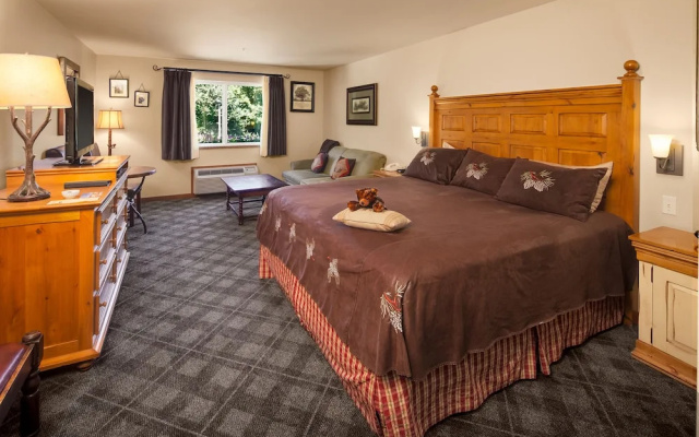 Standard Double Basement room