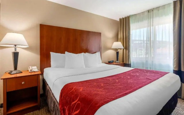 Standard Suite