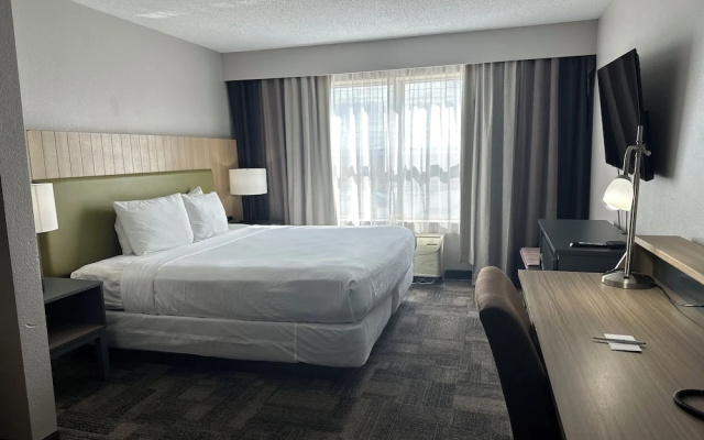 1 Bedroom Suite