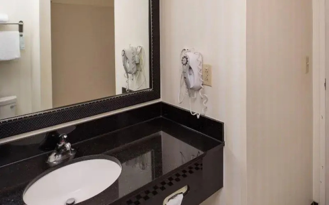 1 Bedroom Quadruple Studio