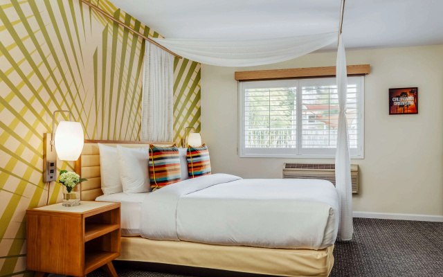 1 Bedroom Suite