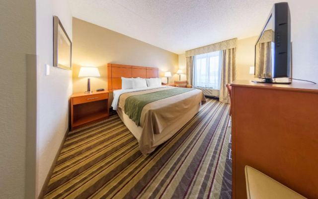 1 Bedroom Standard room