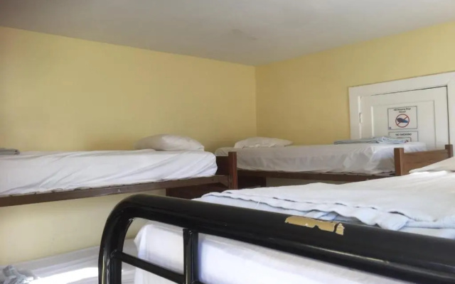 Bed in Dorm