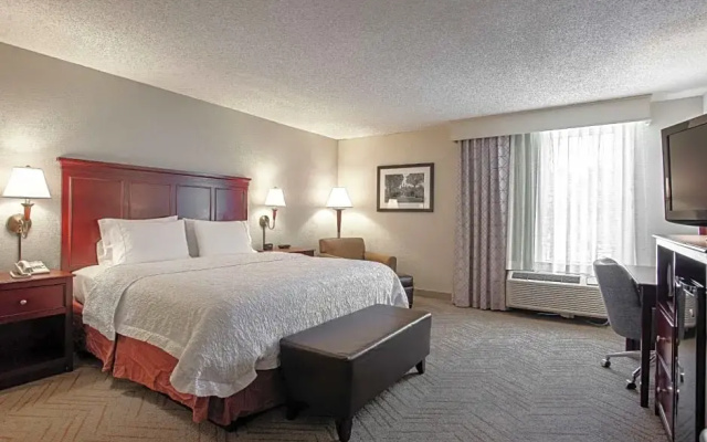 1 Bedroom Suite