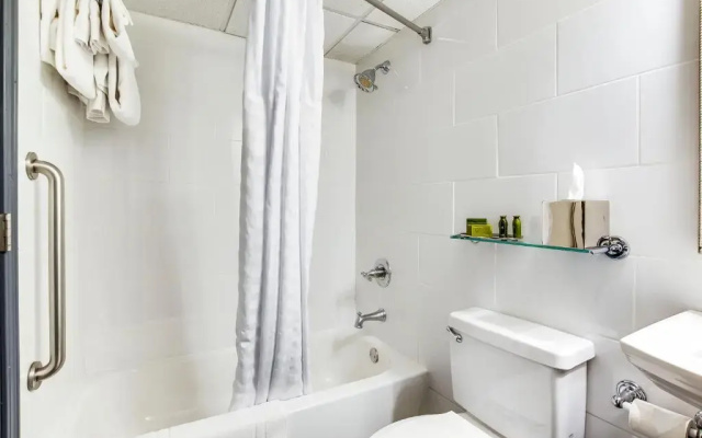 Executive Quadruple room
