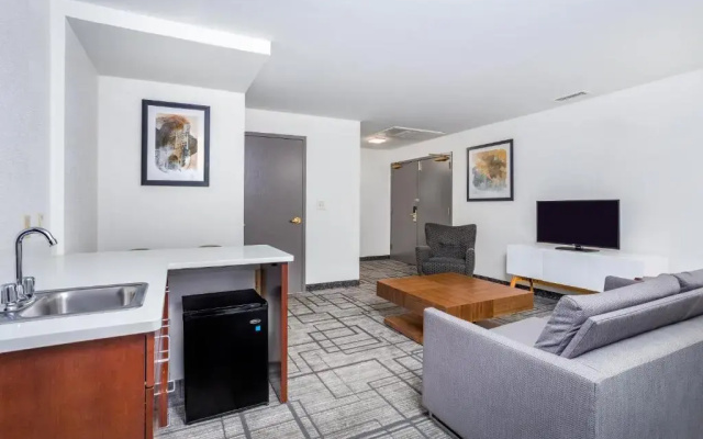 1 Bedroom Executive Double Suite