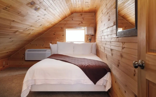 6 Bedrooms Bed in Dorm