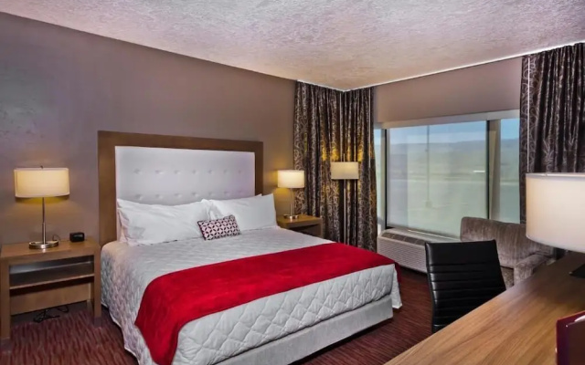 Standard Suite
