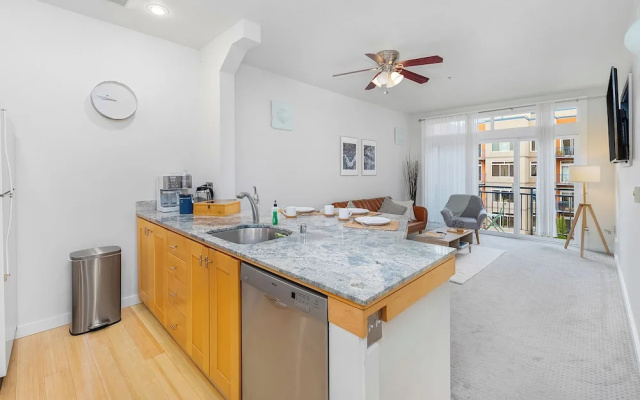 Classic Apartment