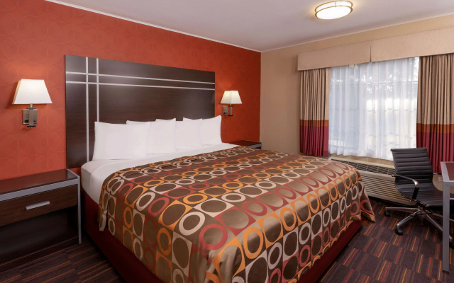 Double room