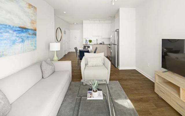 Luxury Apartment