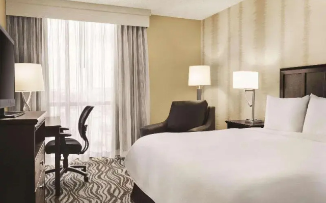 1 Bedroom Double Suite