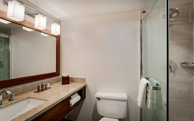 Standard Double Club room