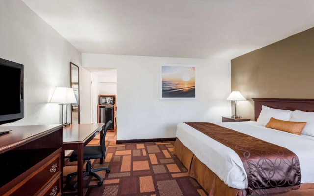 1 Bedroom Double Suite