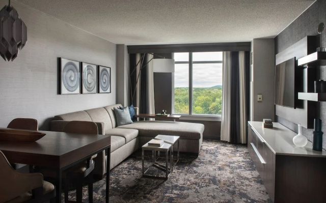 1 Bedroom Suite