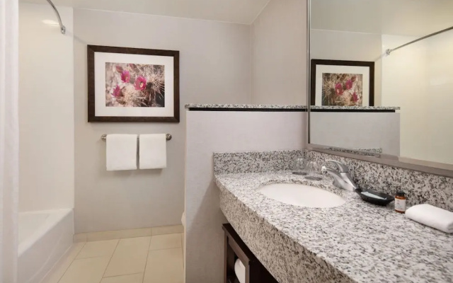 1 Bedroom Suite