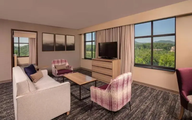 1 Bedroom Suite with garden view