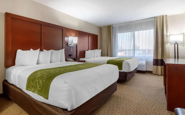 Deluxe Double Suite