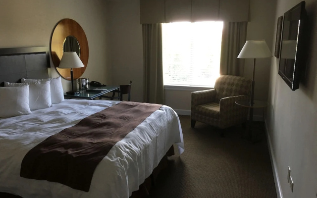 Premier Double room