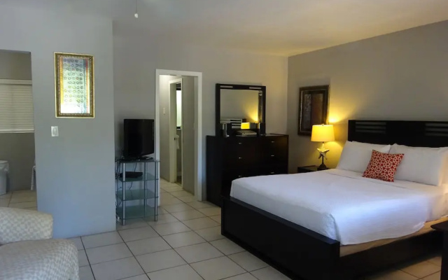 1 Bedroom Standard Double room