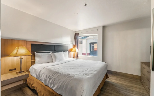 Business Apartment