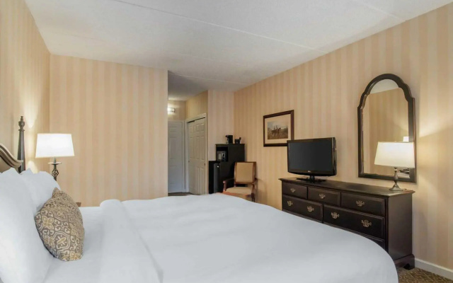 Business Suite