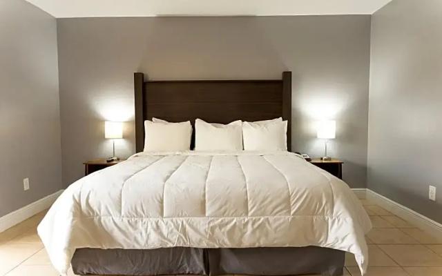 1 Bedroom Standard Double room
