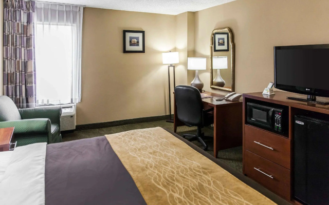 1 Bedroom Suite