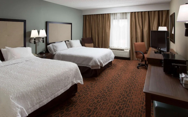 Standard Suite