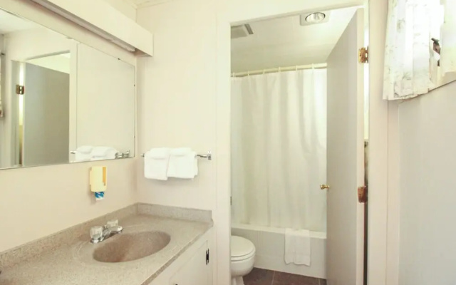 Deluxe Double room with garden view