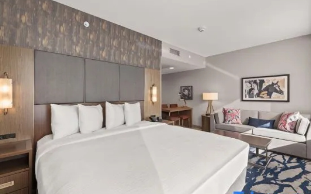 1 Bedroom Suite